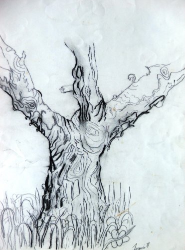 The Wisdom of the Old Apple Tree