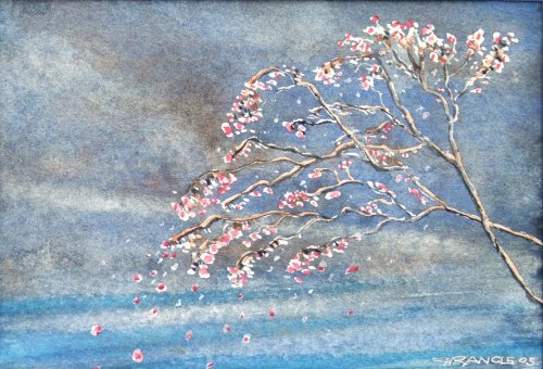 Blossoms before the Storm