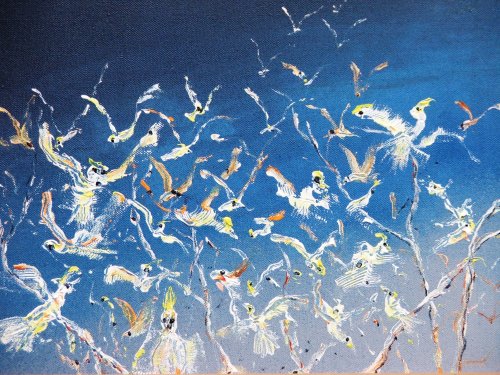 An Argument of Cockies