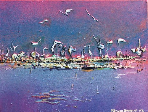 Animals of the Tarwin Swamp grass